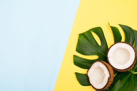 Summer vacation concept. Top view of a leaf of monstera and coconut on a blue and yellow background. Creative minimalism and flat lay. Copy space.の写真素材