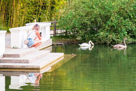 A girl takes pictures on a smartphone of swans floating in a pond in the Park of Southern Cultures, Adler, Sochi, Russia.の写真素材