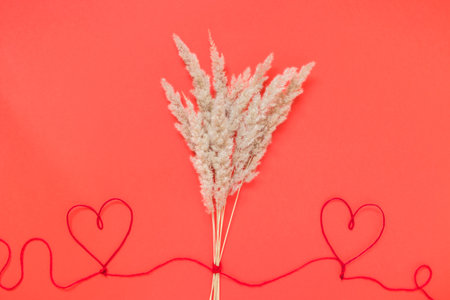 Valentine's day, love, romantic concept. Red hearts and dried flowers on red background. flat lay.の写真素材