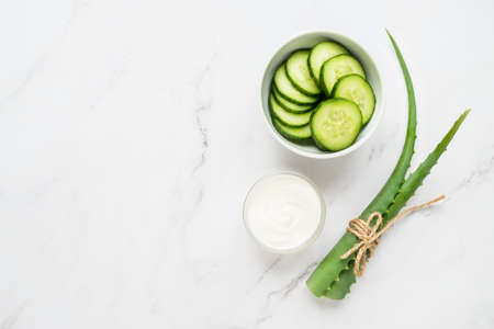 Homemade skin care concept. Green natural ingredients aloe vera, yogurt, cucumber for making a cosmetic mask on a light backgroundの写真素材