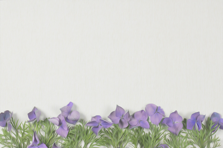 Purple hydrangea flowers with thujaの写真素材