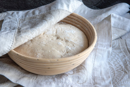 Whol,e grain dough rising in a basket, kitchen towels