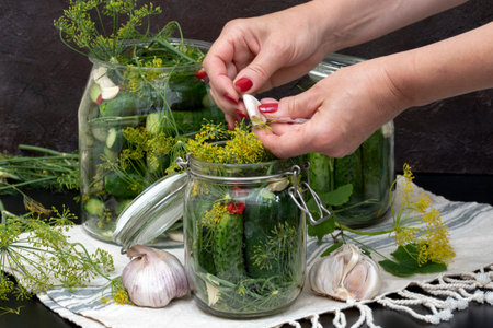 Woman hands holding garlic and a glass jar filled with cucumber, garlic and dill, kitchen towel and...