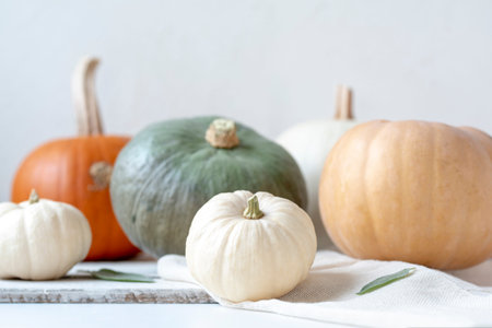 Pumpkins in different sizes and colors on white background, copy space, selective focusの写真素材