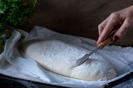 Sour dough bread on a backing paper and kitchen towel, hand with bread knife on dark backgroundの写真素材