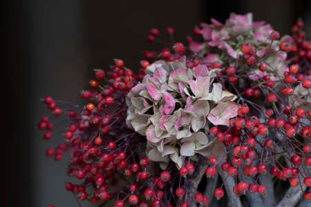 Fragment of colorful autumn flower arragement in a basket with light purple hydrangea and rosehips on dark backgroundの写真素材
