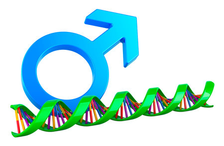 DNA spiral with male gender symbol. Paternity DNA Testing, concept. 3D rendering isolated on white backgroundの写真素材