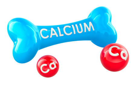 Bone with Calcium Ca balls, 3D rendering isolated on white backgroundの写真素材