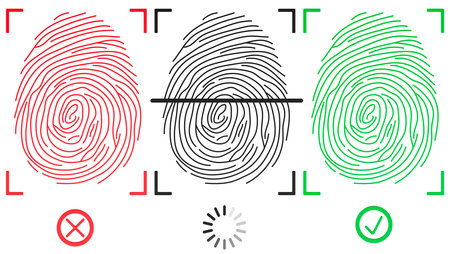 Set of fingerprints. Fingerprint accepted, progress loading of fingerprint, and rejected. 3D rendering isolated on white backgroundの写真素材