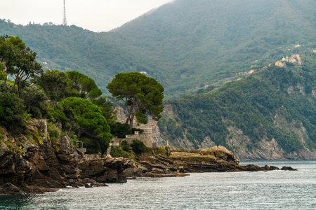 Rocky Ligurian coast with lush greenery and seaside terracesの写真素材
