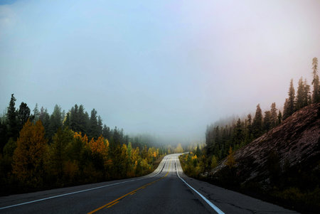 Empty road lines with fall trees in Jasper National Park.の写真素材