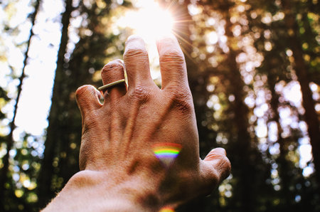 Reaching to the green.の写真素材