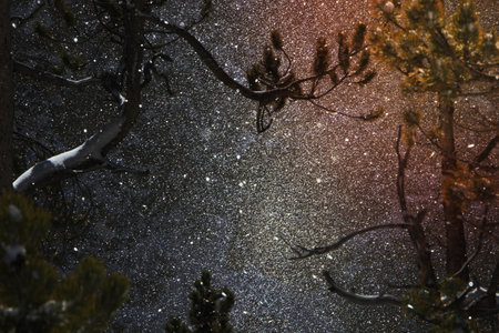 Snowfall at Canyonの写真素材