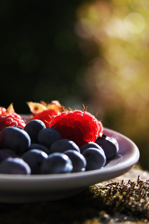 beautiful plate of raspberry and blueberry sits in the summer fields..の写真素材