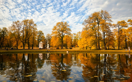 Sunny autumn public park with golden trees over a pond and people walking aroundの素材