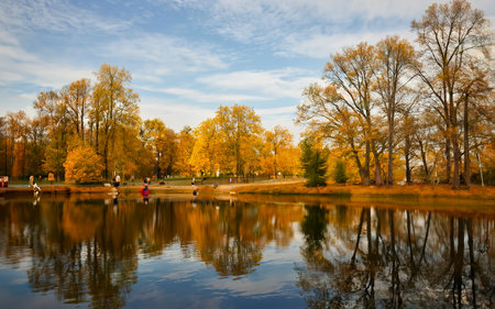 Sunny autumn public park with golden trees over a pond and people walking aroundの素材