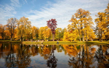 Sunny autumn public park with golden trees over a pond and people walking aroundの素材