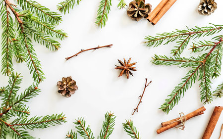 Spruce twigs, empty space for text on a white background. Top view, flat lay.の素材