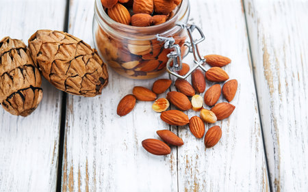 Oil of cedar nuts on a white wooden backgroundの素材