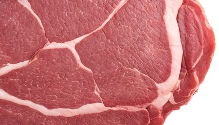 Crude meat on a white backgroundの素材