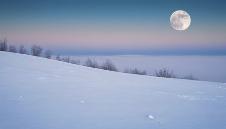 Minimalistic natural winter landscape. Full cold moon over a snow-covered foggy slope. Winter polar night landscapeの素材