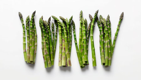 Green herbs, asparagus and black avocado on a white backgroundの素材