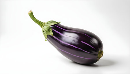 eggplant with a stem on top against a white background.の素材