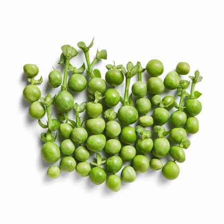 Green peas isolated on white backgroundの素材