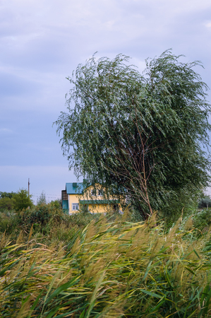 rural road near river under cloudy skyの写真素材