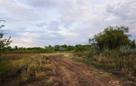 Woods dirt roadの写真素材