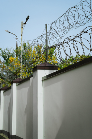 barbed wire with blue skyの写真素材