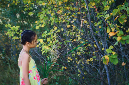 Portrait teen girl among the trees, summerの写真素材