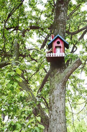 Colorful birdhouse on the tree.の写真素材
