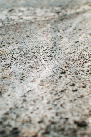 Stone texture,monochrome . Vertical photography. Closeup, selective focus.