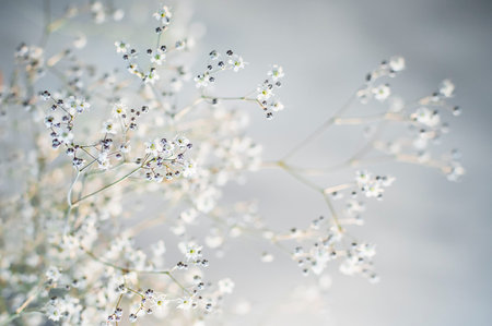 pattern of small flowers on a Light blue background. Beautiful background. Closeup, selective focus.