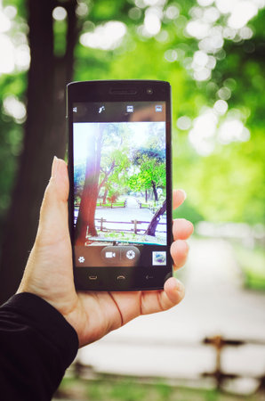 A hand holds a mobile phone, take a picture using a phone in the park. Vertical photography.
