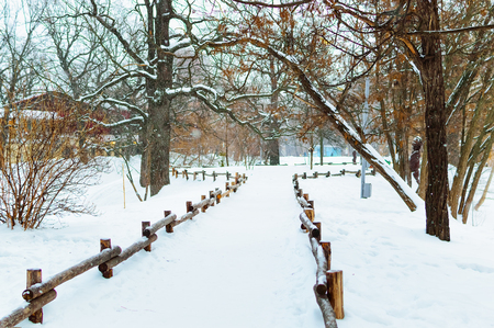 Winter landscape depicting a tree, a fence and snowの写真素材