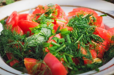 Salad of sliced tomatoes and cucumbers sprinkled with chopped herbs.の写真素材