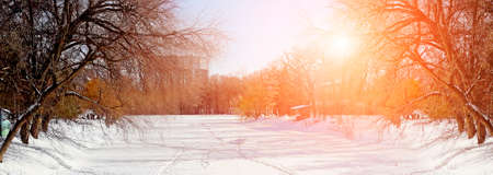 Beautiful winter landscape with orange sunset sun. Natural panoramic background.の写真素材