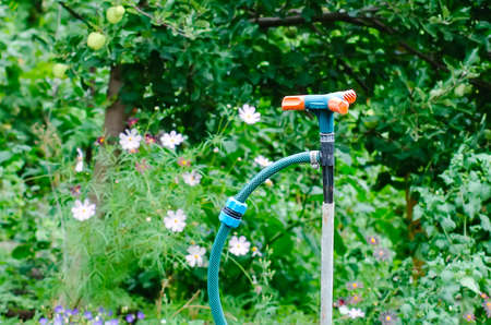 Garden sprinkler on a background of green foliage. Garden care.の写真素材