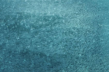 Abstract rain texture, background for design.の写真素材