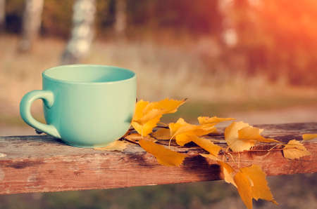 Beautiful autumn background. Cup with tea on a background of autumn nature.の写真素材