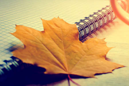 Yellow autumn leaf on a school notebook. Autumn concept, learning.の写真素材