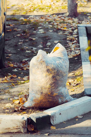 City autumn cleaning concept. Dry foliage in a trash bag.の写真素材