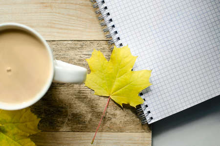 School notebook next to an autumn maple leaf and a cup of cocoa. Back to school. Concept of education. Copy Space.の写真素材
