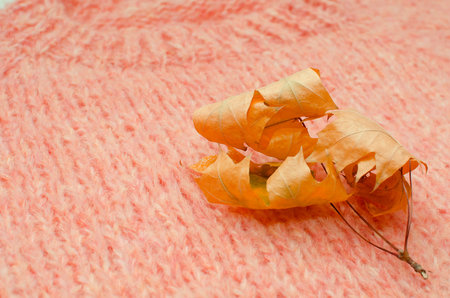 A yellow dry leaf lies on a warm hand-knitted sweater.