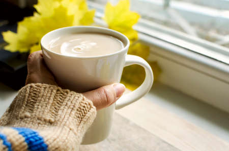 Women's hands hold a cup with a hot warming drink of cocoa or coffee against the background of fallen maple leaves.の写真素材
