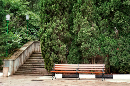 Wooden bench in the park next to a large old stone staircase.