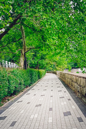 A powerful tiled path in the city park.