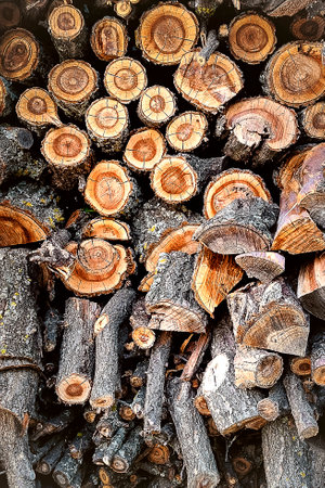 chopped firewood, logs stacked together in storage pile. Closeup of wooden background and texture. Collecting dry rustic wood as a source of energy. Lumber split hardwood.の写真素材